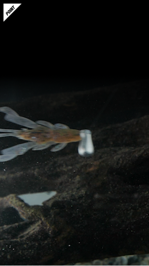 BLEEKER CHOP SNACK 2″/2.7″ ブリーカー チョップスナック 2″/2.7″