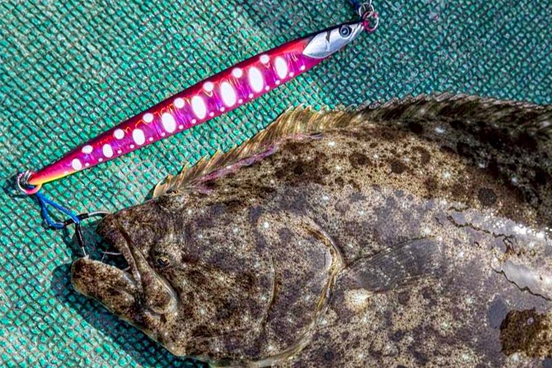 北海道・余市ヒラメジギング攻略｜潮の速さに合わせたバンブルズジグ使い分け