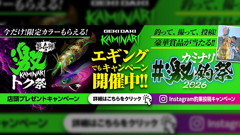 COLUMN SHORE - SALT WATER 海釣り｜JACKALL｜ジャッカル｜ルアー