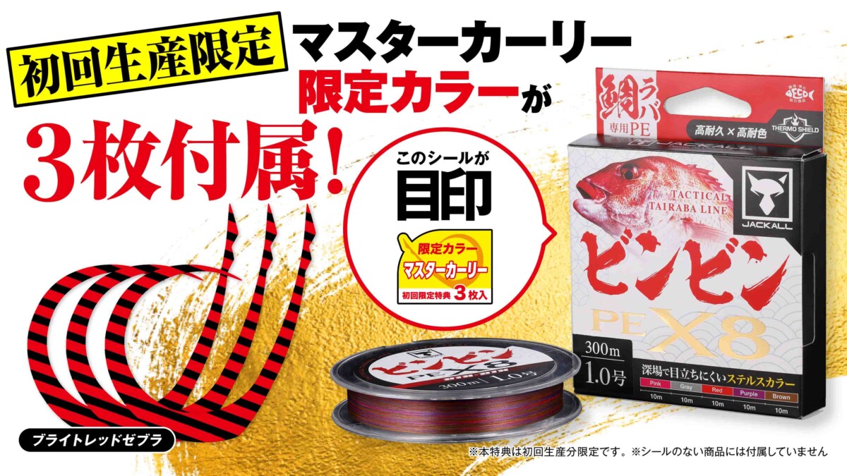 【初回生産分限定】ビンビンPE X8にマスターカーリー 限定カラー 3枚付き！