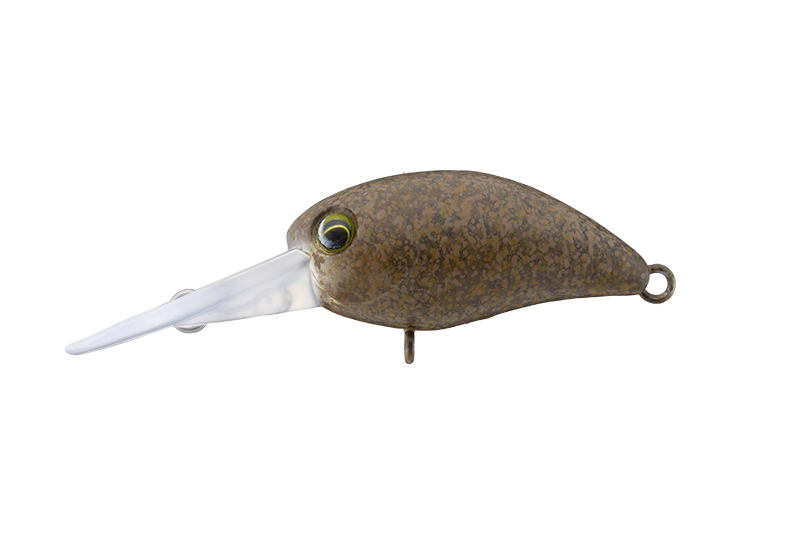 カワゲラブラウン