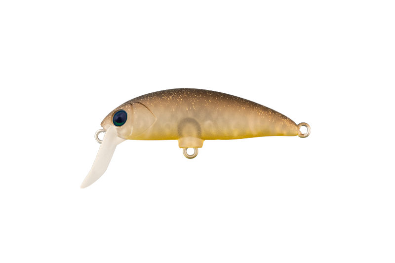 ゴンティーラッシュグローⅡ