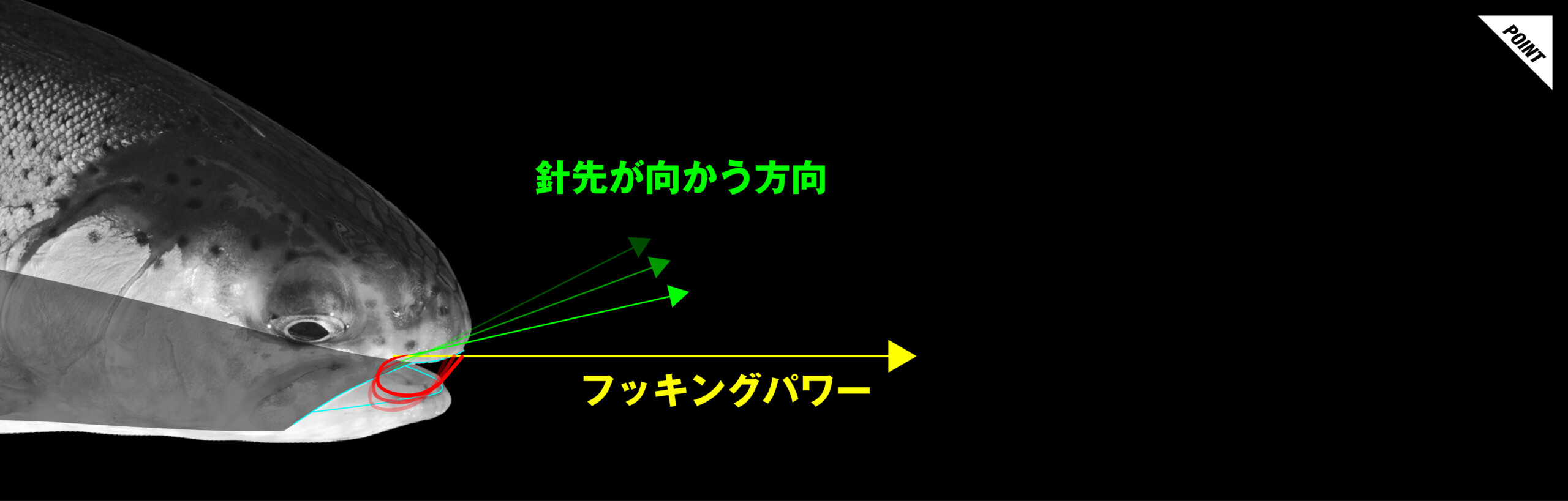 16CP 16CP/16シーピー 