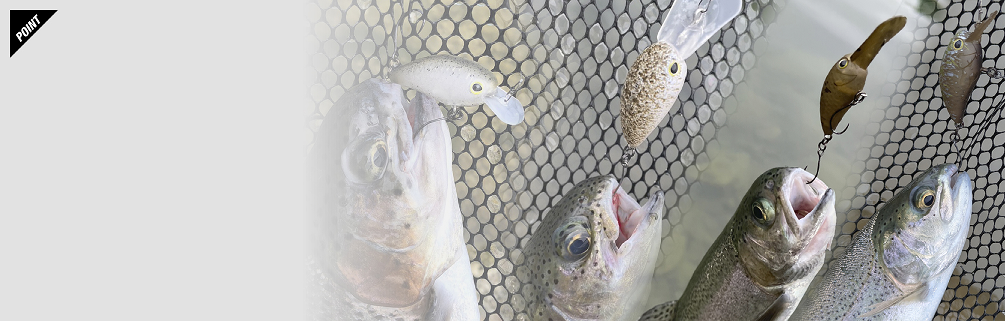 パニクラ´ PANICRA´/パニクラ´