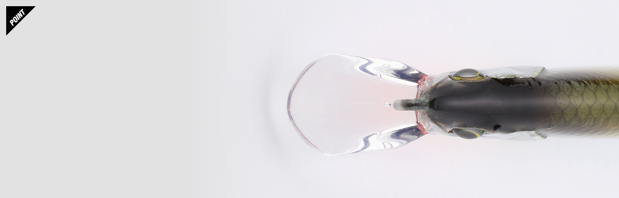 スィン トリコロール THIN TRICOROLL/スィン トリコロール