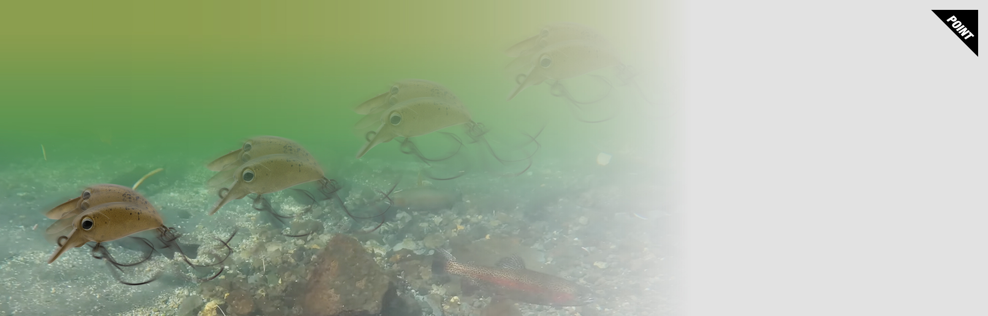 マイクロパニクラ MICRO PANICRA/マイクロパニクラ 