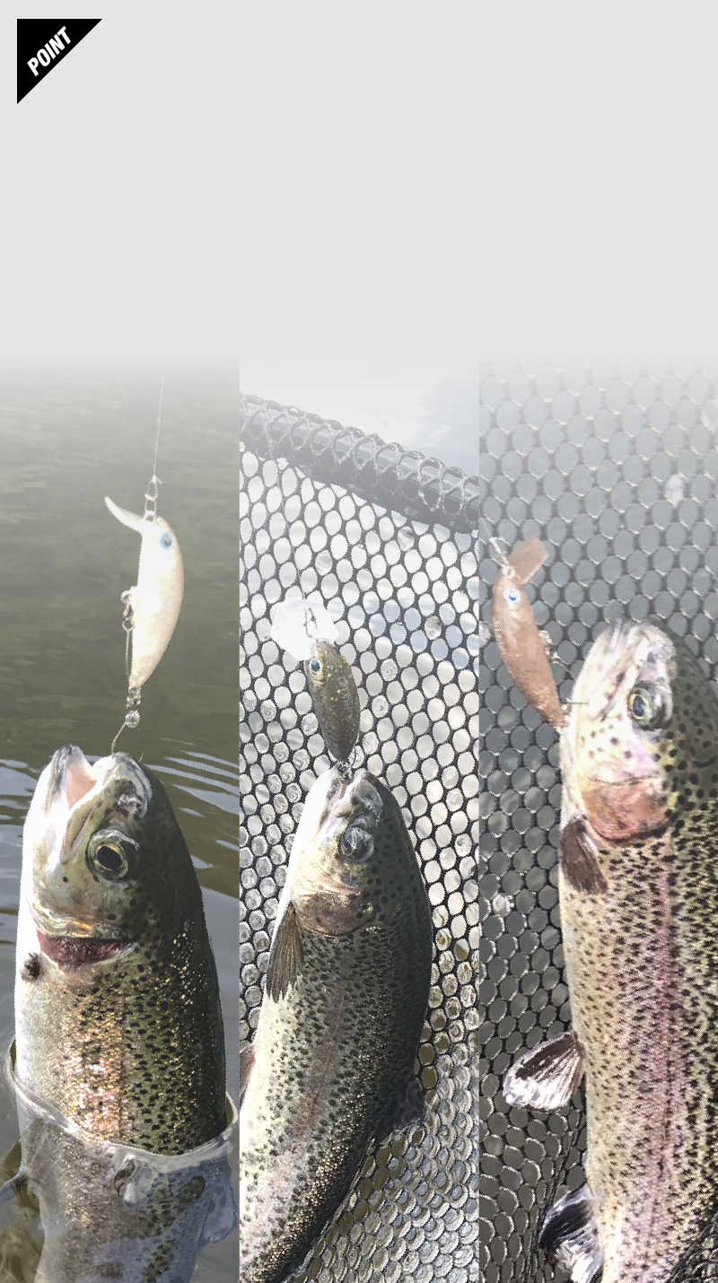 BURIBURI MINNOW HF Rattle / ブリブリミノーHFラトル BURIBURI MINNOW HF Rattle / ブリブリミノーHFラトル