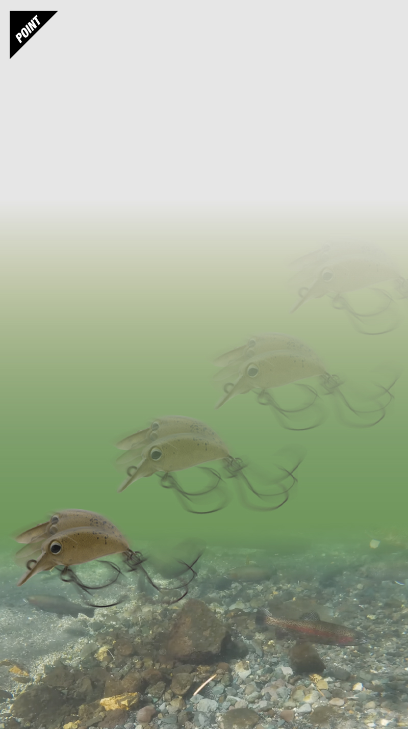 マイクロパニクラ MICRO PANICRA/マイクロパニクラ 