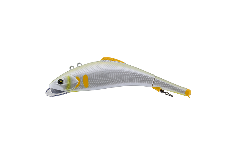 西湘ﾊﾟｰﾙ鮎