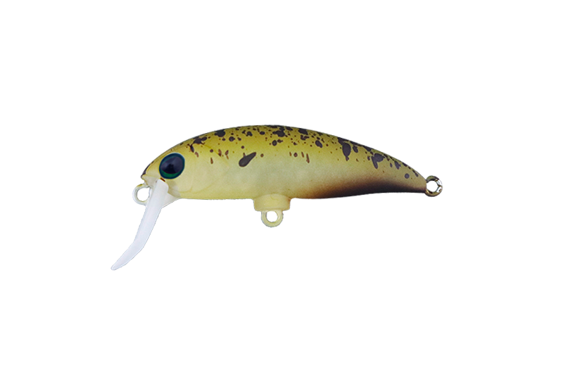 エンドスケパンプキン