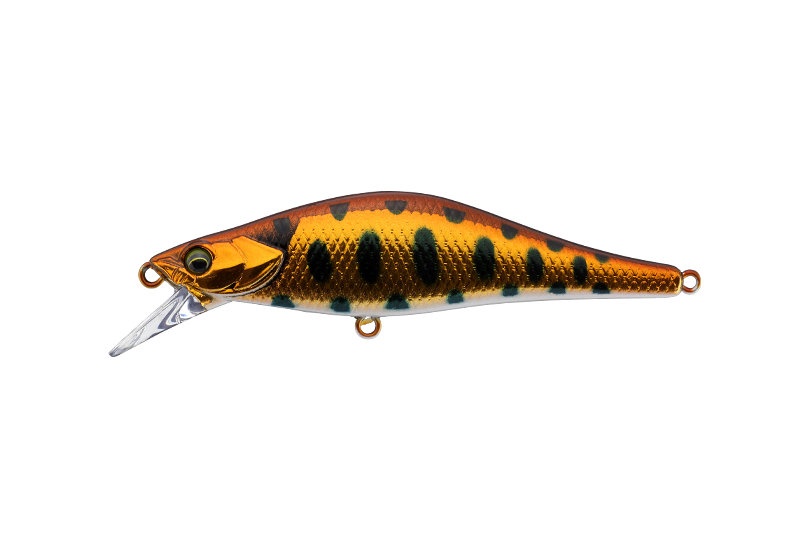 HLｺｯﾊﾟｰﾔﾏﾒ