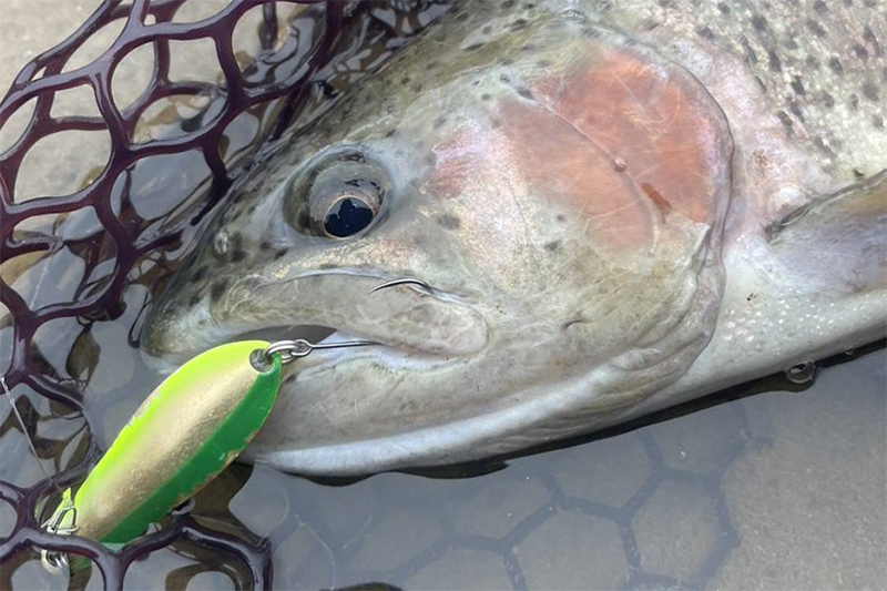 トリコロールスプーンステム TRICOROLL SPOON STEM/トリコロールスプーンステム