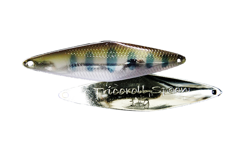 Silver yamame trout