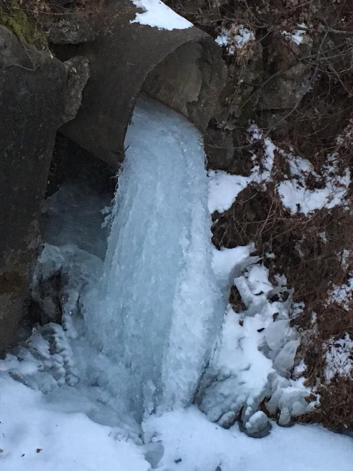 25498508_967933270023405_1334698457721482811_n