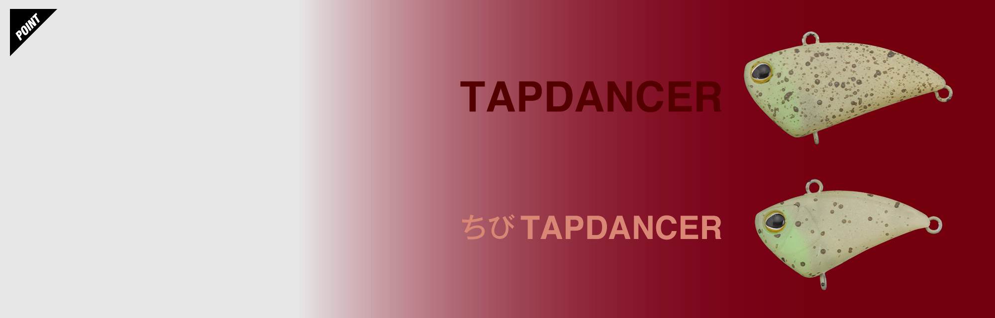 タップダンサー TAPDANCER / タップダンサー 