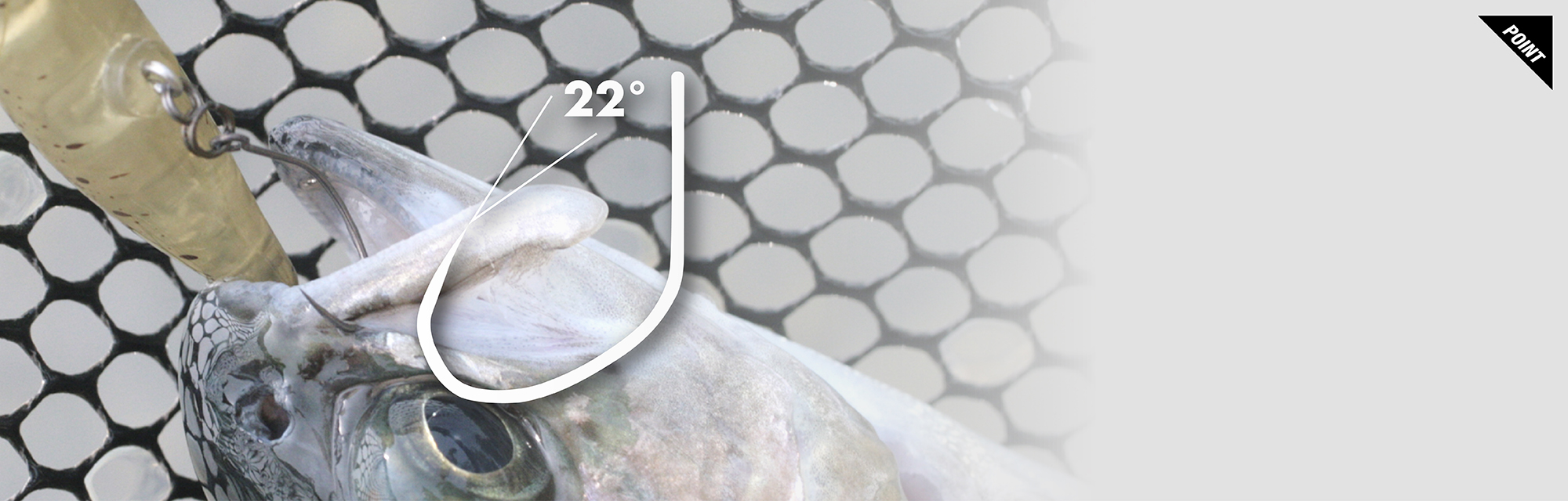 22CP 22CP/22シーピー 