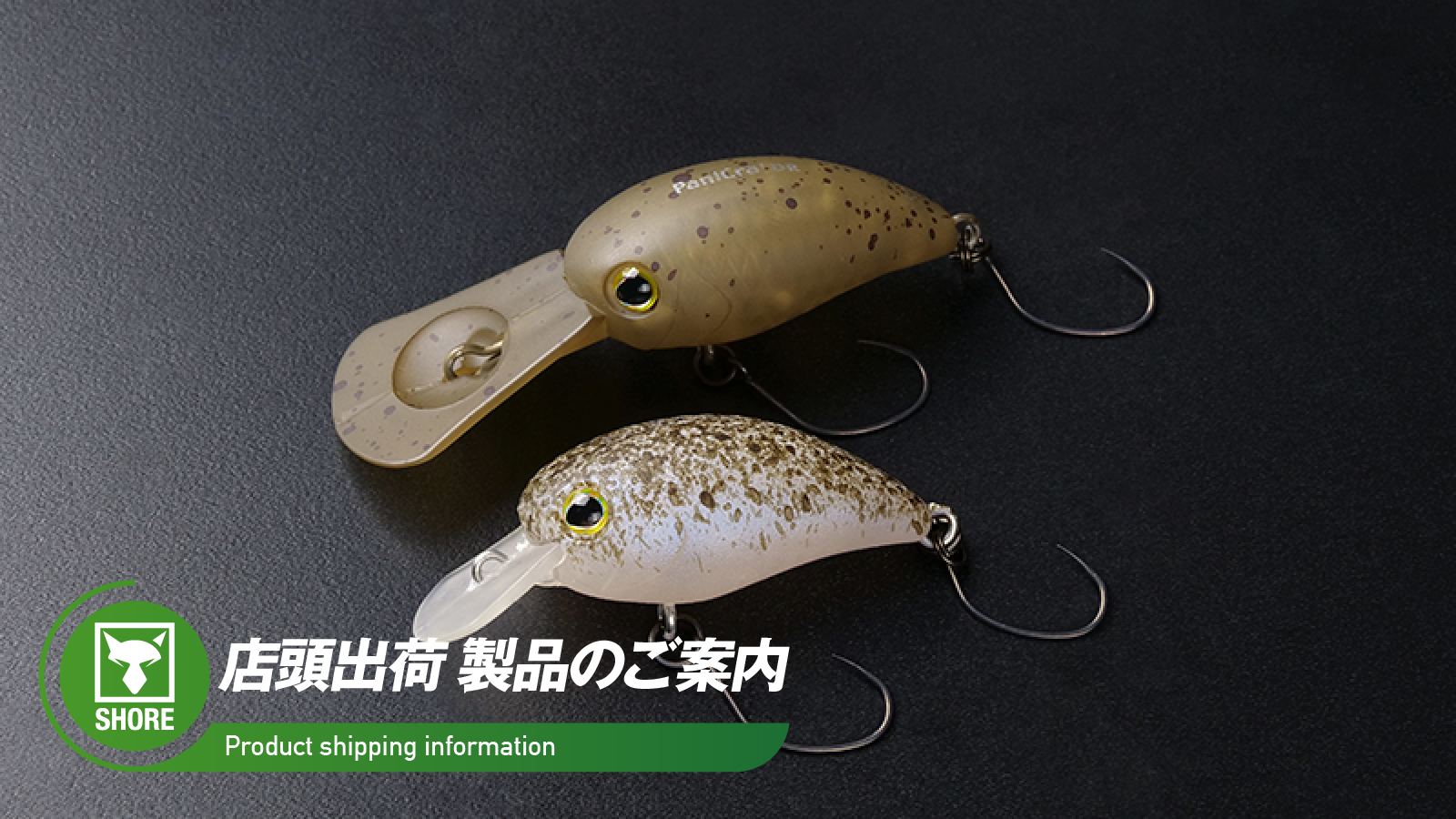 店頭出荷のご案内】パニクラ'DR-HF - TIMON 鱒・トラウト釣り｜JACKALL