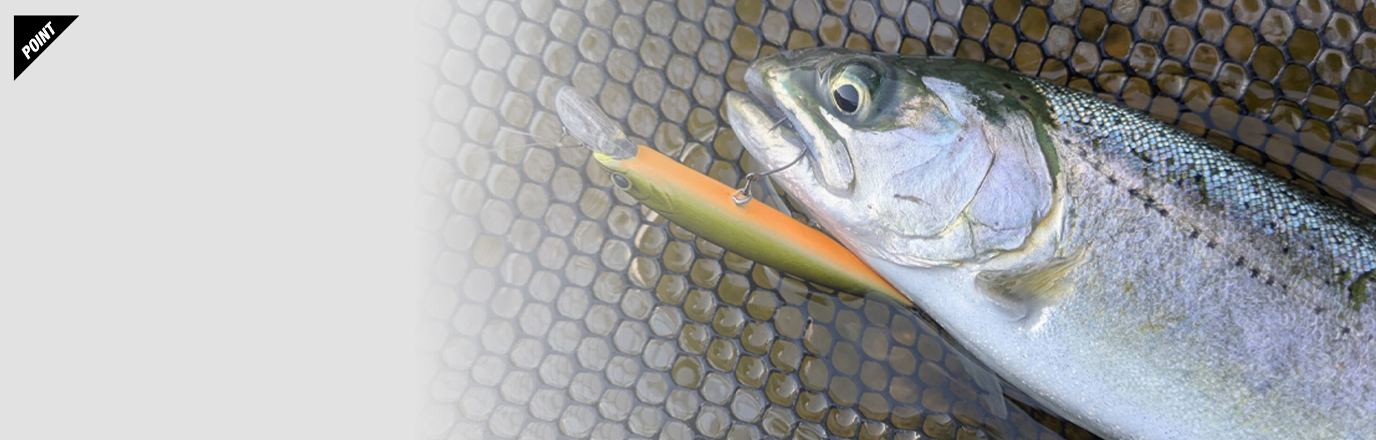 スライドン SLIDON60F / スライドン60F 