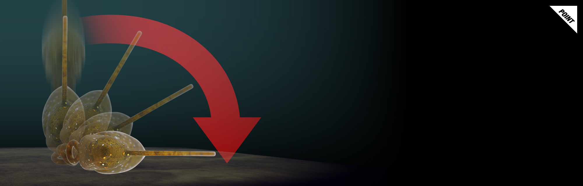 クロボールγ KUROBALL γ/クロボールγ