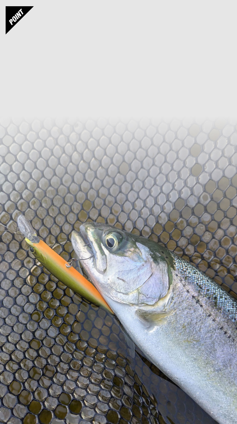 スライドン SLIDON60F / スライドン60F 