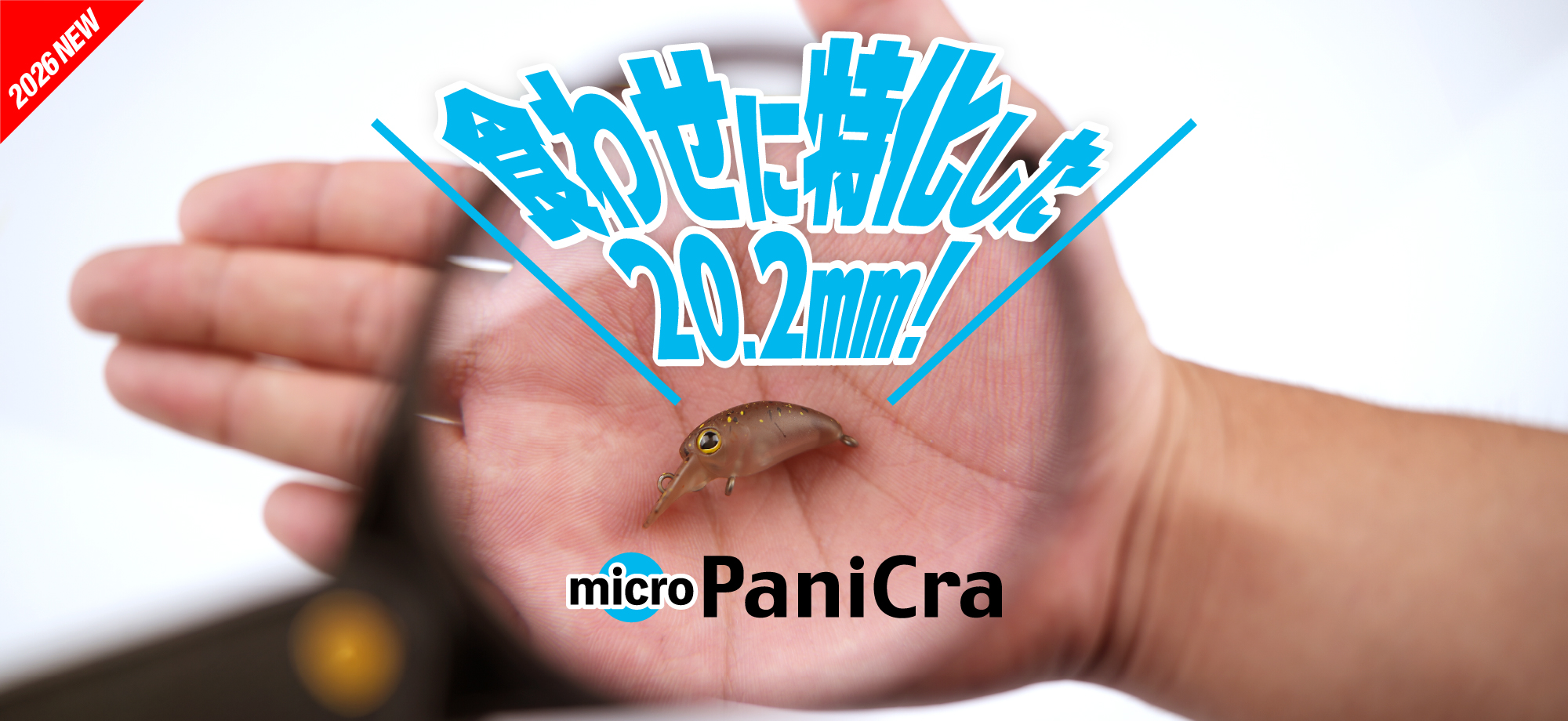 MICRO PANICRA/マイクロパニクラ