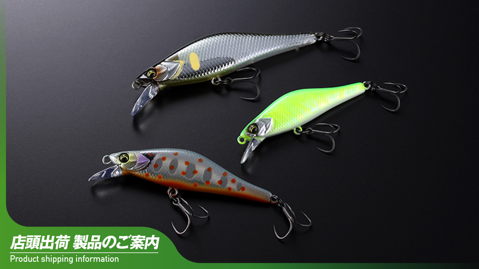 店頭出荷のご案内】スィン トリコロール - TIMON 鱒・トラウト釣り